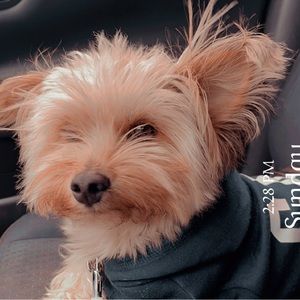 Meet your Posher, Azion